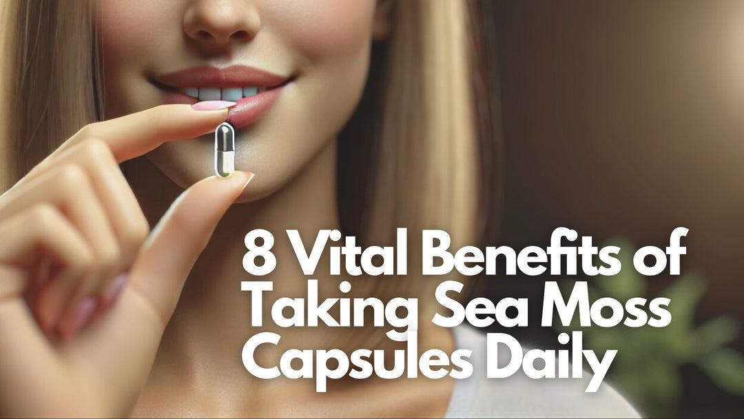 8 Vital Benefits of Taking Sea Moss Capsules Daily